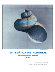 2020 - Matematica Instrumental UNIDAD 1 v2 1