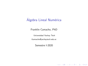 algebra-lineal-numerica-principal-Introduccion
