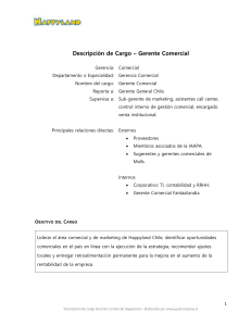 Descripción de Cargo Gerente Comercial HL Chile 2019