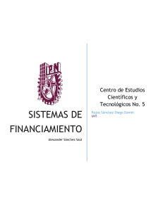 Sistemas de financiamiento-6IV5- Rojas Sánchez