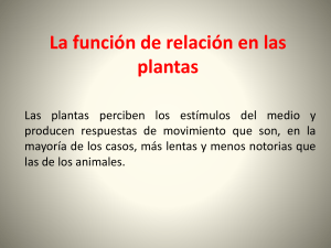 La función de relación en las plantas