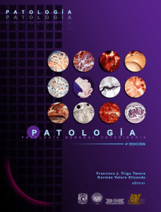 patologia trigo 4 edicion