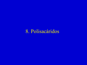 polisacaridos