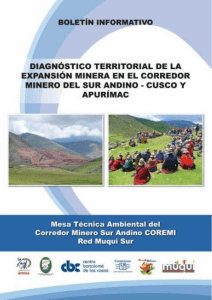 Diagnostico Territorial Expansion Minera Corredor Sur Andino 2013-Ago