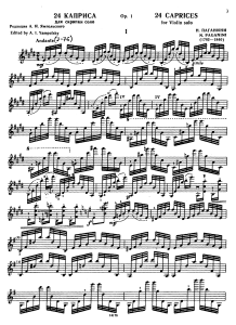 IMSLP29957-PMLP03645-Paganini - 24 Capricci op.1 per Violino Solo (A.Yampolsky)