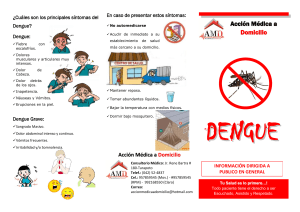 denguetriptico-120501194247-phpapp02