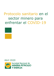 Sector Minero - Protocolo Sanitario Covid 19.pdf