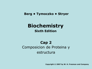 02 ComposicionProteina (2)