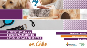 Oportunidades de comercializacion de articulos para mascotas en Chile v.final