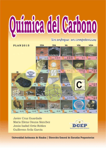 14 Quimica del Carbono