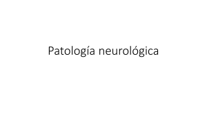 Patología neurologica