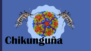 Chikungunya (3)
