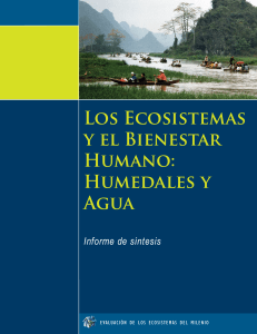 2005 Ecosistemas y bienestar humano sintesis humedales y agua