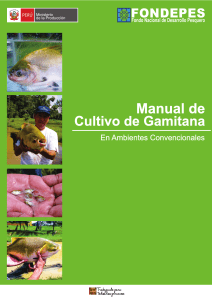 Manual-de-Cultivo-de-Gamitana