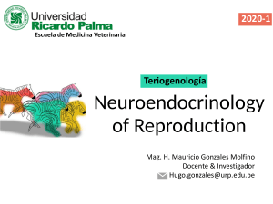 Clas 02 - Neuroendocrinología de la Reproducción - Terio 2020