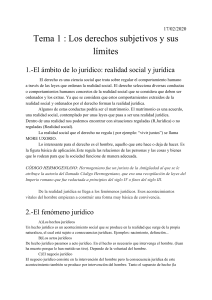 1.Derechos subjetivos y sus límites. Fuentes de derecho