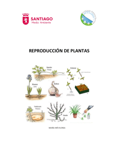 Reproducción de Plantas