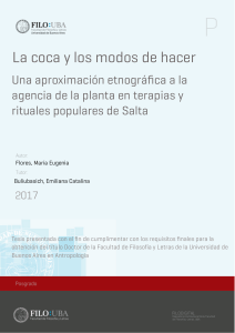 Quimica y cultura -  Coca y sociedades ancestrales - Aproximacion Etnografica de la planta en terapias y rituales populares en Salta