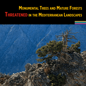 Momumental Trees and Mature Forest Theatened in the Mediterranean Landscapes