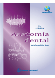 Anatomia Dental Riojas