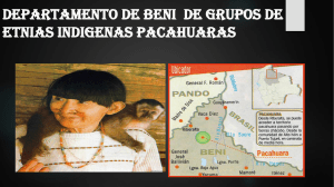 DEPARTAMENTO DE BENI  DE GRUPOS DE ETNIAS INDIGENAS