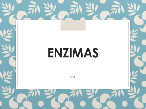 enzimas USB 14