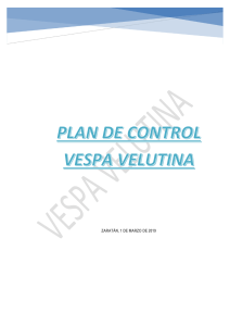 Trabajo fin de curso Vespa Velutina marzo 2019
