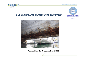 Pathologie béton 07112016