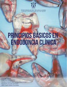 Principios básicos en Endodoncia
