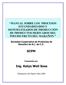manual de procesos scpm