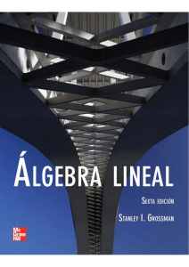Grossman Algebra Lineal 6ta edicion