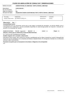 OBSERVACIONES Y CONSULTAS ABSUELTAS HRL LOX 