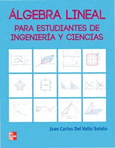 Algebra Lineal para estudiantes de Ingenie - Juan Carlos Del Valle Sotelo