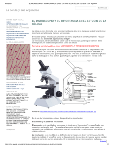 EL MICROSCOPIO Y SU IMPORTANCIA EN EL ESTUDIO DE LA CÉLULA - La célula y sus organelos