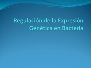 regulacion-de-la-expresion-genetica-en-bacteria