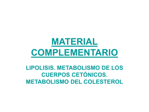 act 40 lipolisis.. sintesis de colesterol y cuerpos cetonicos