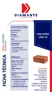 ladrillos-king-kong-lima-18