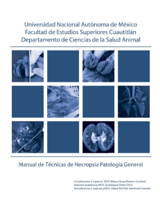 Manual-Necropsia-General UNAM