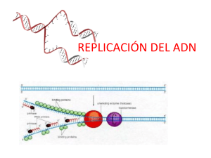 REPLICACION DEL ADN(1)