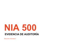 NIA 500 - RESUMEN