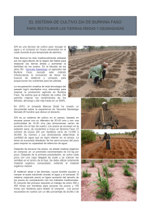 El sistema de cultivo Zai de Burkina Faso (Yacouba Sawadogo)