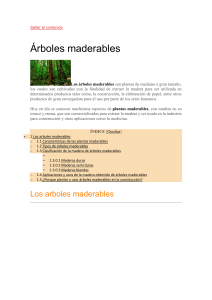 &Aacute;rboles Maderables: Tipos, Usos y Clasificaci&oacute;n