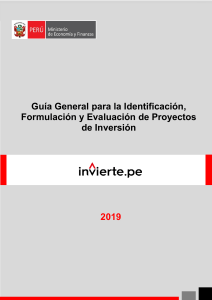 Guía General para la Identificación Formulación y Evaluación de Proyectos de Inversion