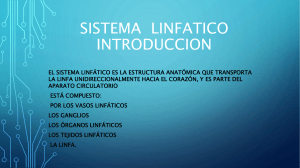 sistema-linfatico-150404161750-conversion-gate01