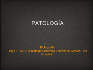 Clase 1. Patología-fusionado