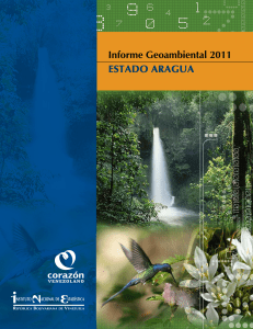 Informe Geoambiental Aragua