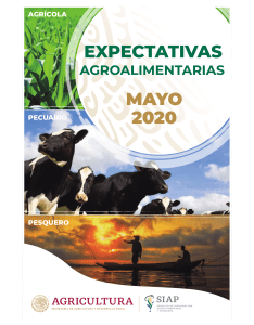 EXPECTATIVAS AGROALIMENTARIAS MAYO 2020