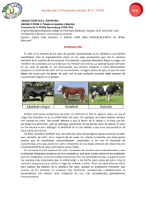 Introducción a la Producción Animal: pelajes de equinos y bovinos