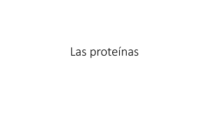 Las proteínas