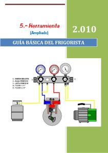 C5 Herramienta2010
